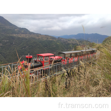 Locomotive électrique pour tourisme